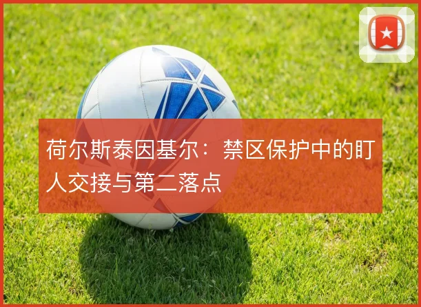 荷尔斯泰因基尔:禁区保护中的盯人交接与第二落点