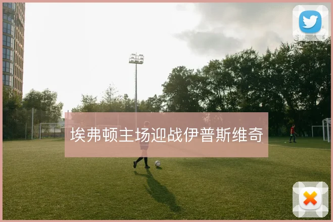埃弗顿主场迎战伊普斯维奇